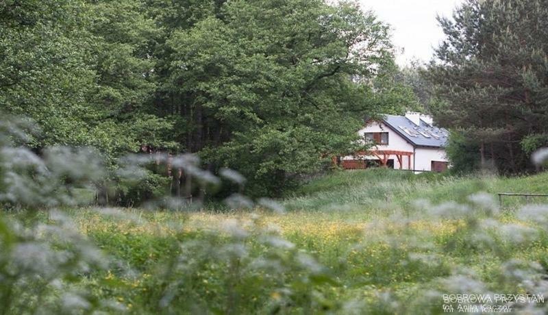 Villa Bobrowa Przystan Czechyn Exterior foto
